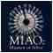 Miao: Masters of Silver